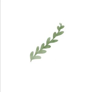 Meet your Posher, Raven